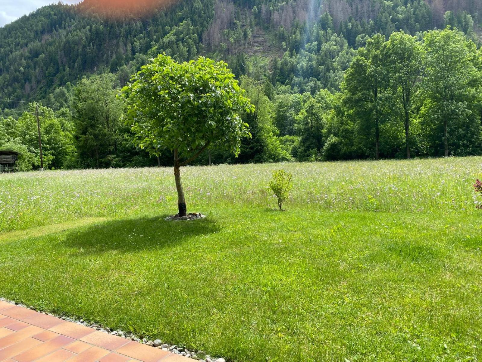 Appartement Dallavia Unterleibnig 外观 照片